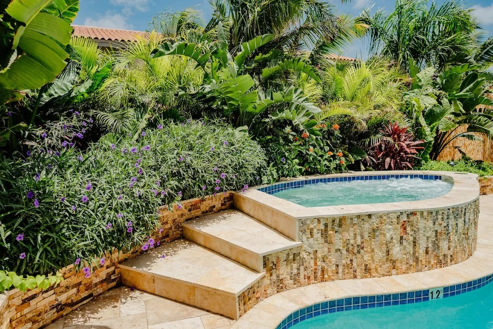 Charming 1-bedroom Apartment 2 km From Eagle Beach