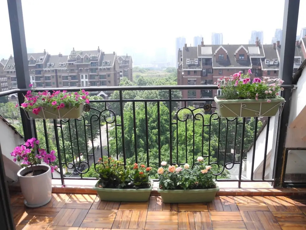 Qingjue Guesthouse