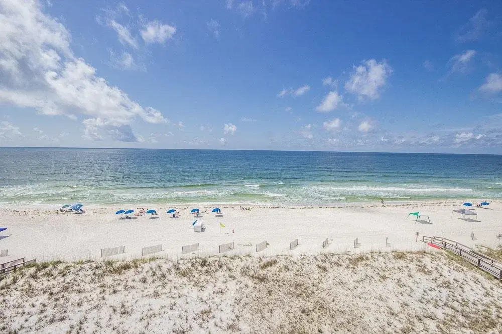 Dolphin Key #4B