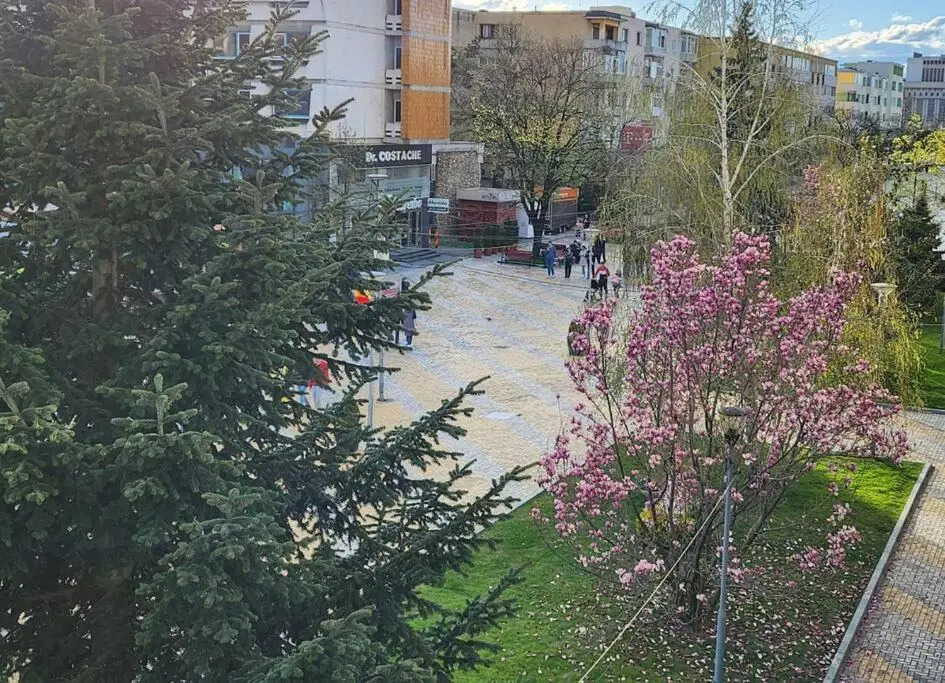 Apartament ULTRACENTRAL