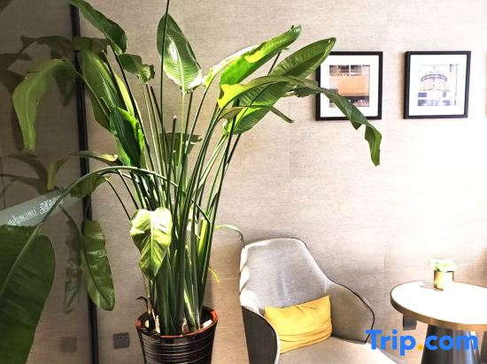 Homeinn Plus Hotel (Qiqihar High-speed Railway Station Hecheng Park)