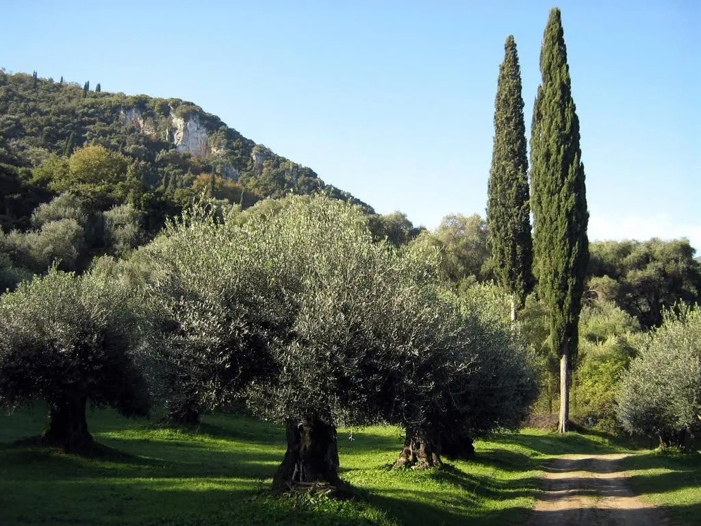 Avgoustina Venus Studios
