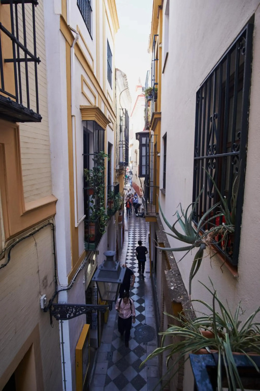 nüa santa cruz