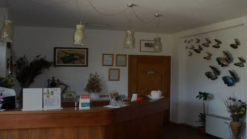 Agriturismo LUlivo