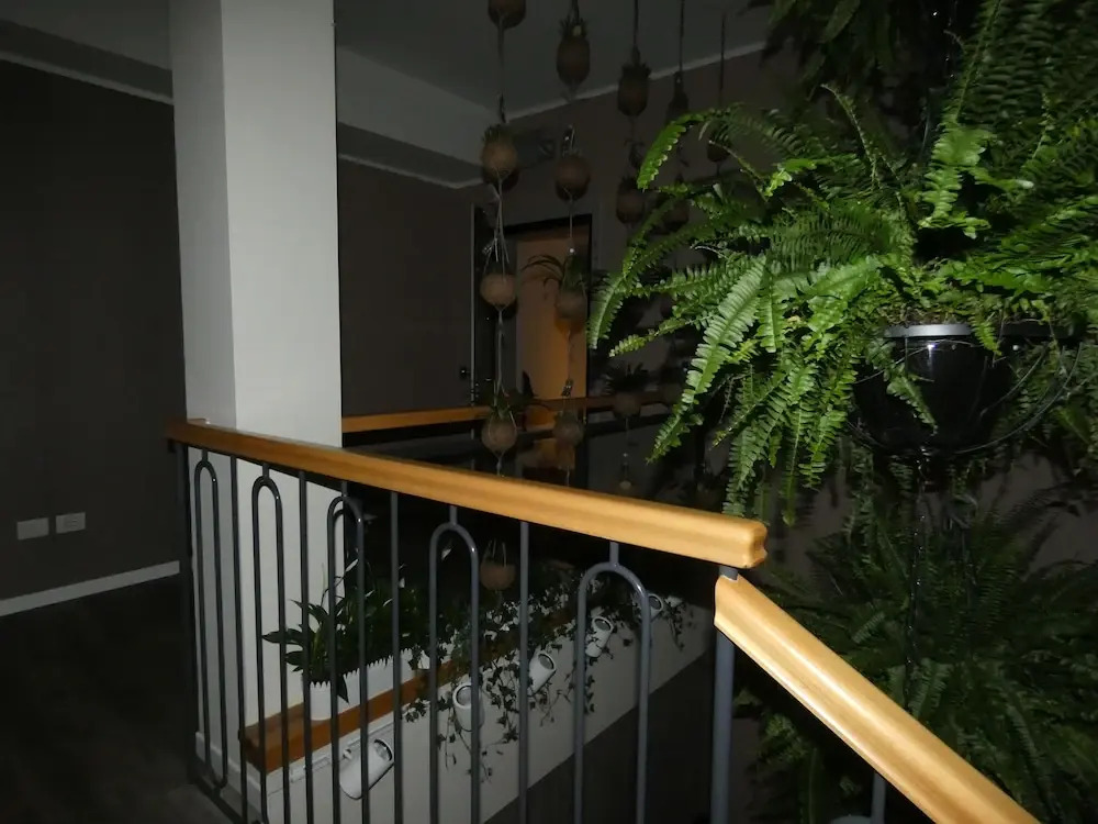 B&B Belvedere Suite