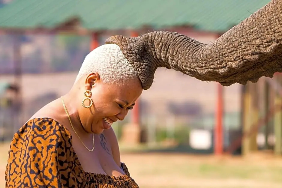 Askari Game Lodge