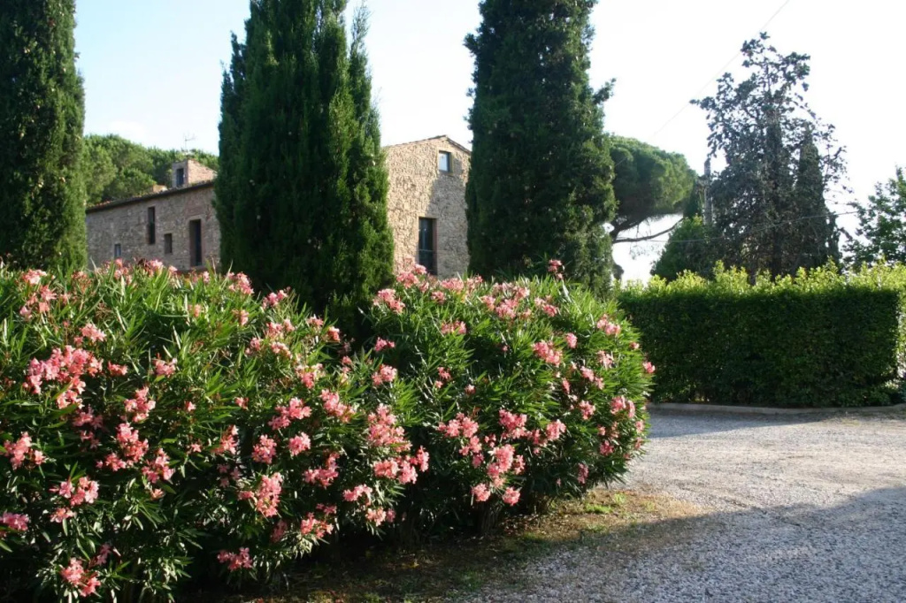 Casaleaurelia