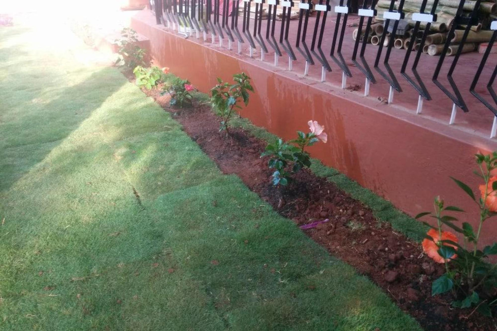 Mangrove Suites