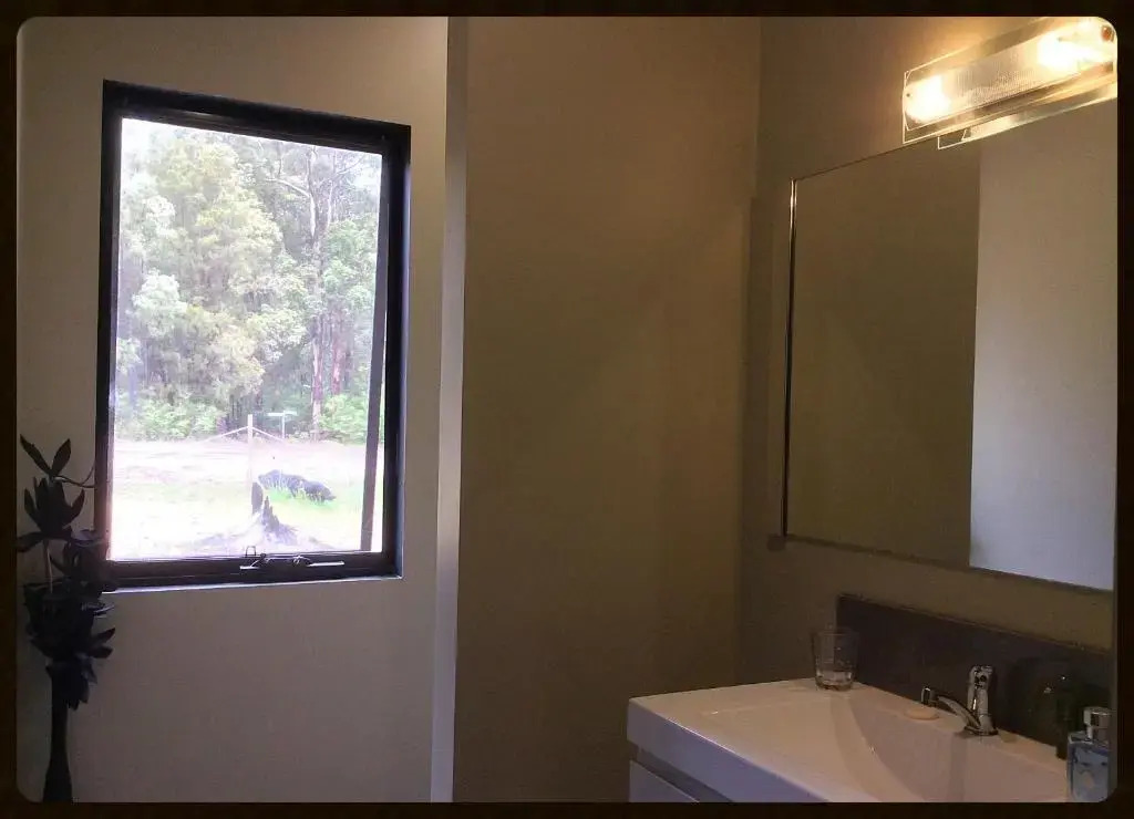 The Executive Suite