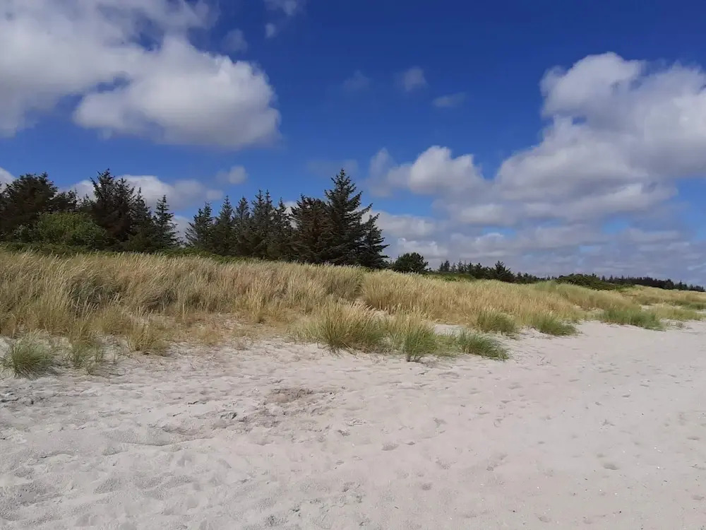 Lovely Holiday Home in Jutland near Sea