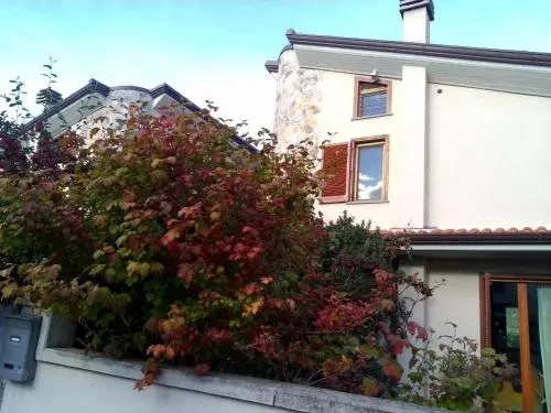 Annes House