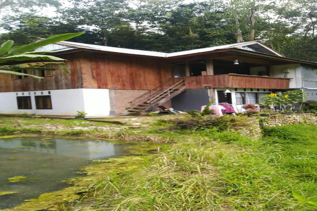 Hostel Papa Tia