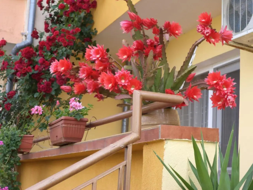 Guest house Stoyanovi