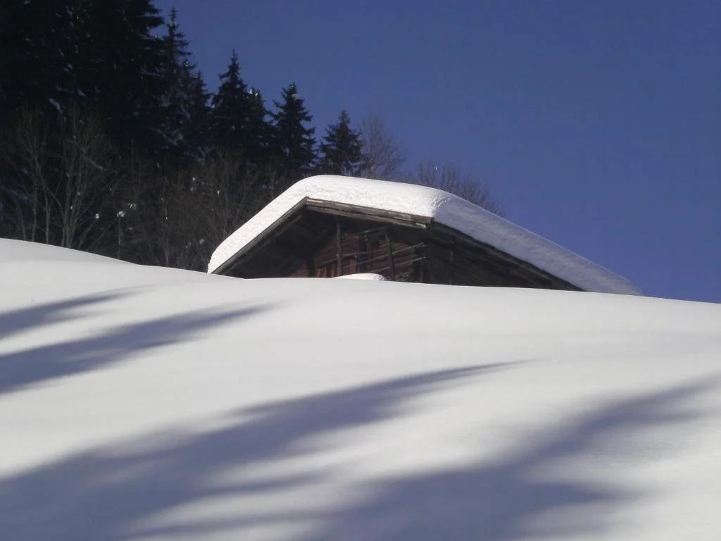 Apart Alpenrast