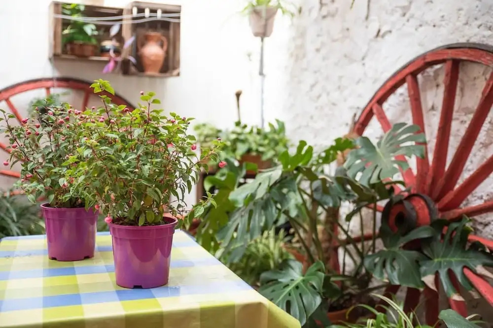 Casa Arizo, Hotel Boutique & Bike Friendly