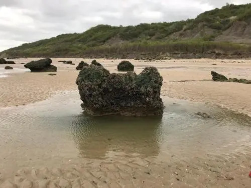 Mer et Campagne