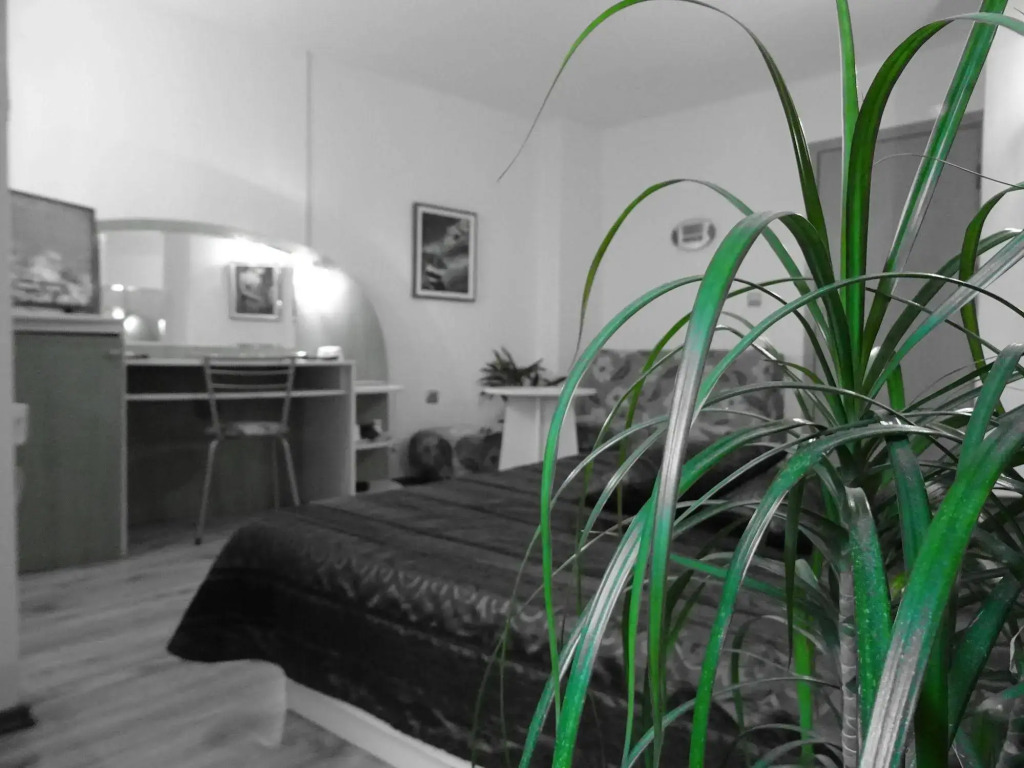 Hotel Color