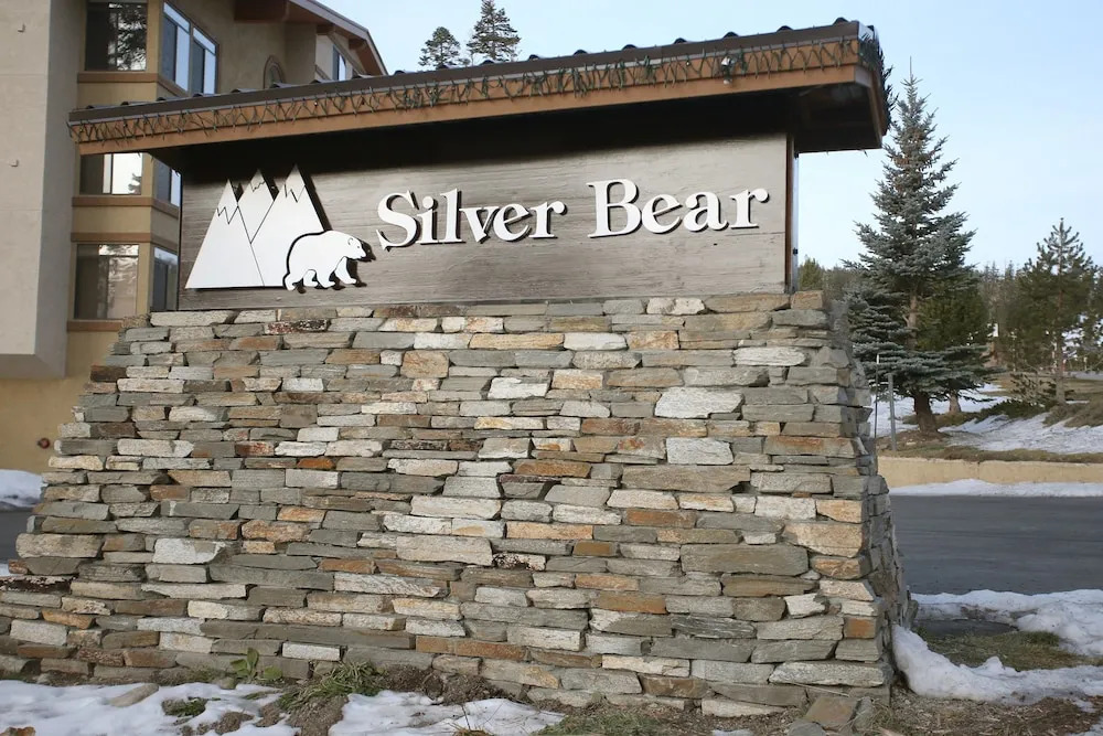 Silver Bear # 20