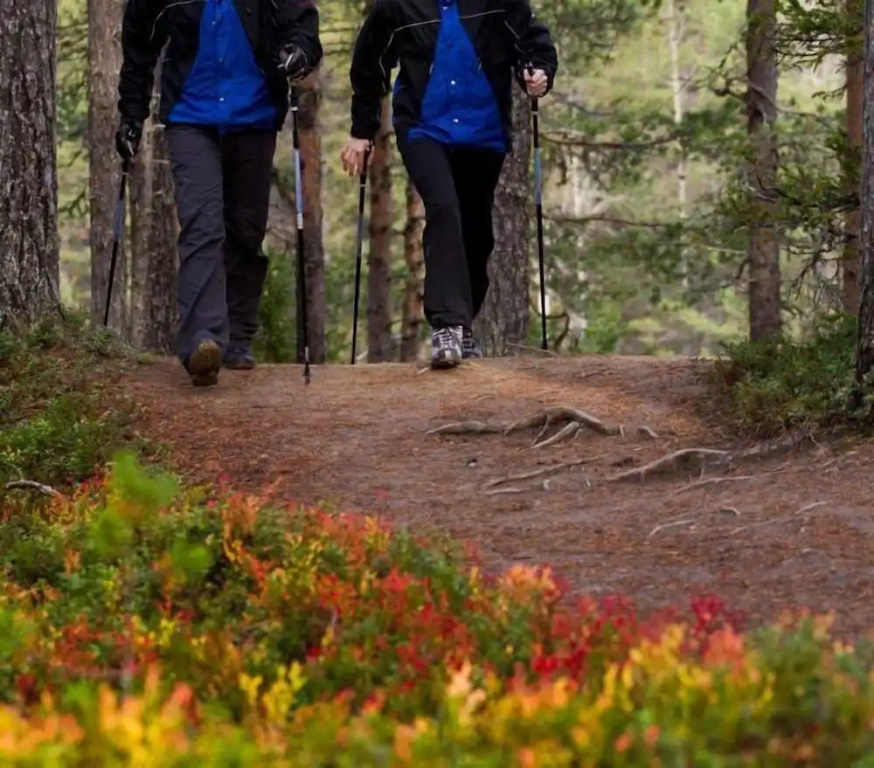 Basecamp Oulanka