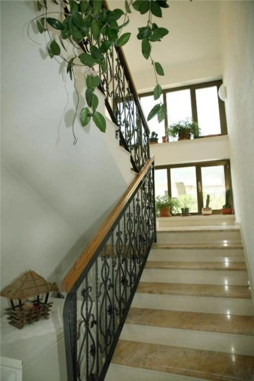 Apartments Bozana