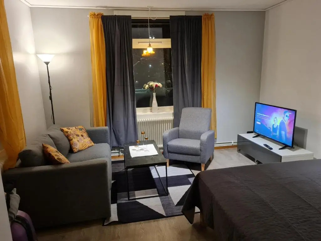 Mysig lägenhet med ett rum och kök 1103