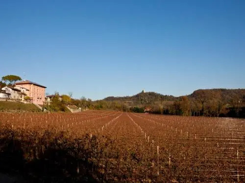 Villa Butussi - Lospitalità del Vino