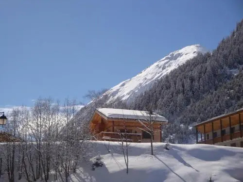 House Magnifique chalet récent