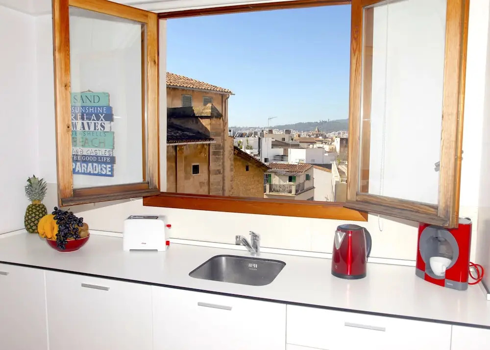 Sant Miquel Homes Penthouse