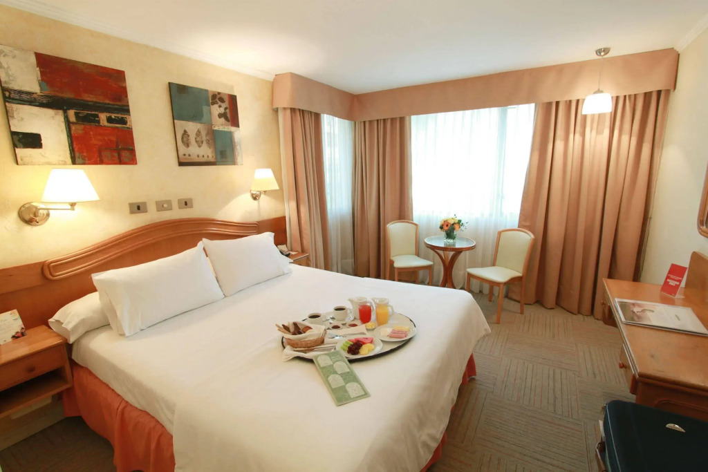 Hotel Torremayor Lyon