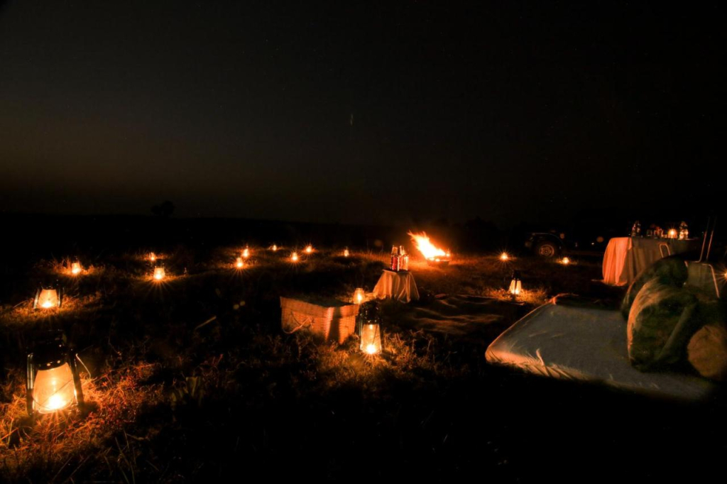 Tadoba Trails