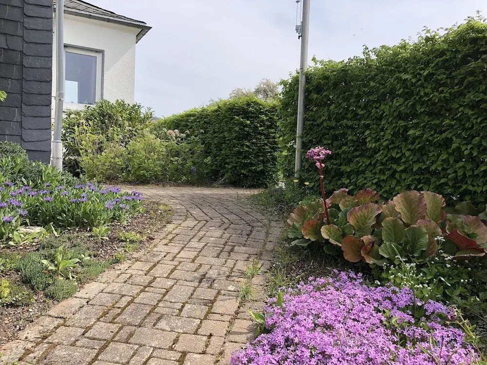 Holiday Home in Winterberg With Garden