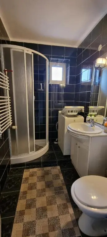 Apartament 3 camere