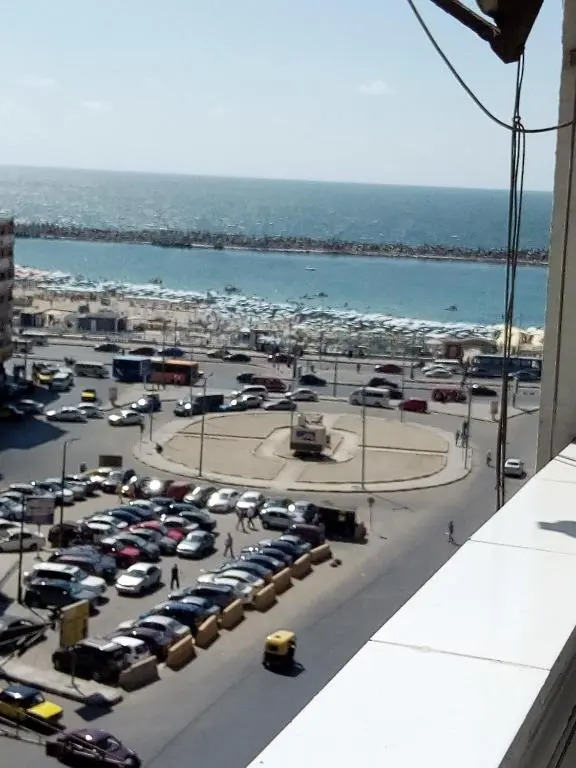 الاسكندريه سيدي بشر شارع محمد نجيب بحري