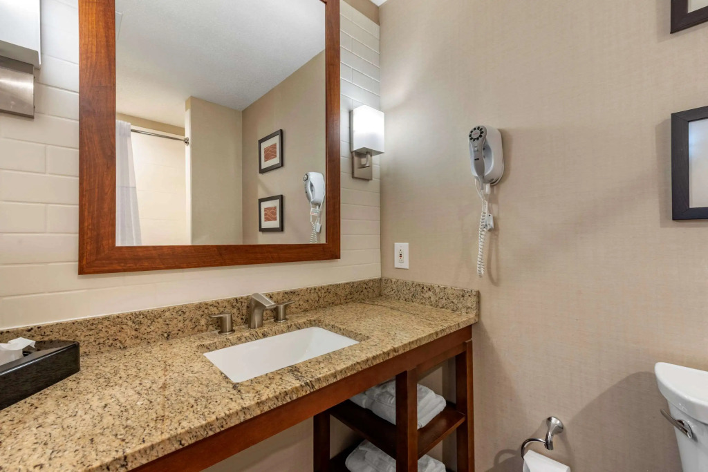 Comfort Inn & Suites Triadelphia - Wheeling