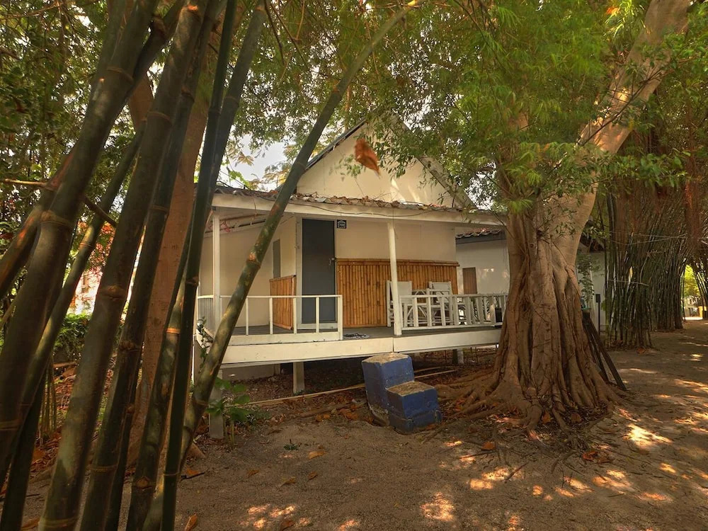 Asia Blue - Beach Hostel Hacienda - Single bed in 10-bed Dormitory Room