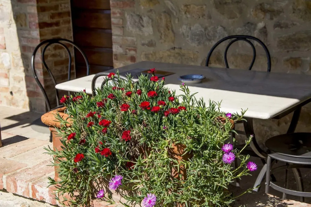 Agriturismo Poderino