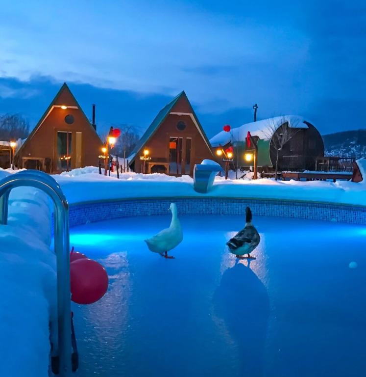 Agva Nirvana Dream Garden Otel - Adults Only