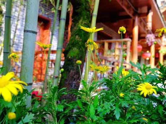 Nongyue Emei Shanju Hostel