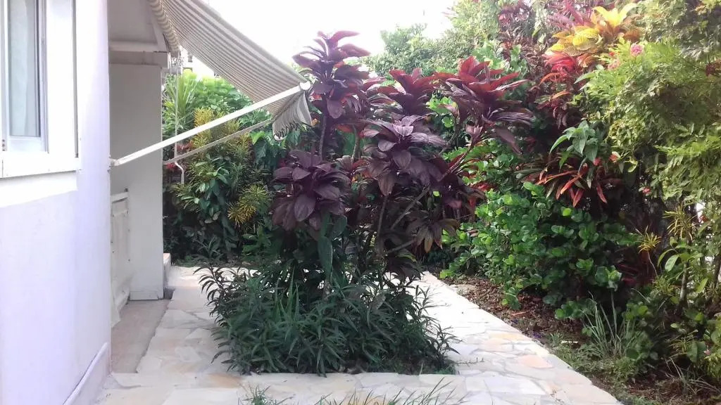 Appartement Hibiscus Martinique