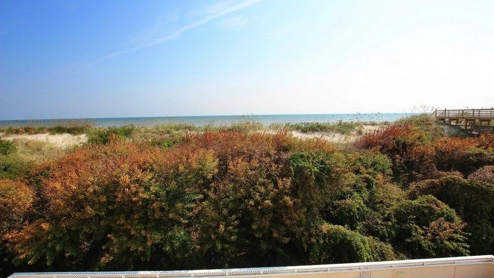 Crabby Jayne's - 9 Br Home