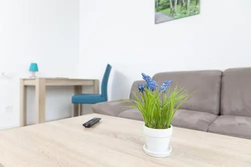 Boardinghouse Montago Fulda