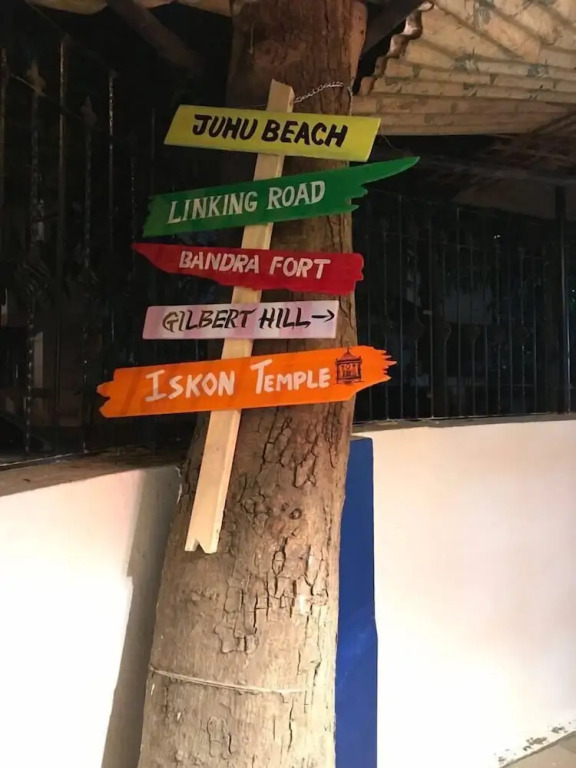 The Social Space