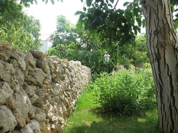 La Limesa