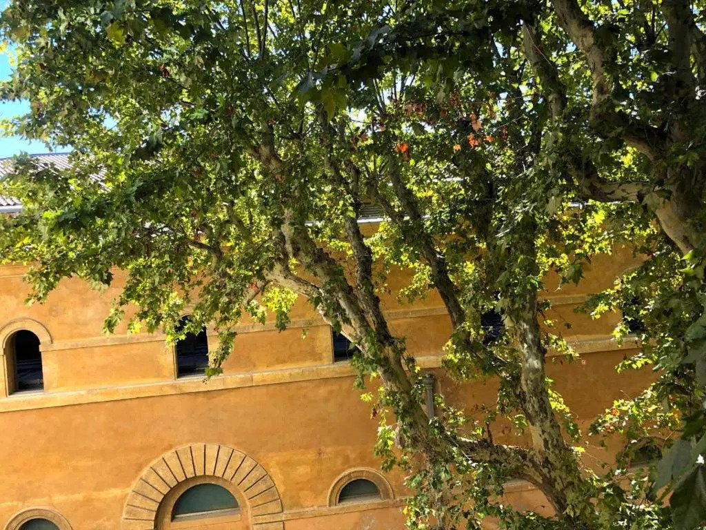 Beau 2 pièces 70 m2 au coeur du centre historique d'Aix en Provence