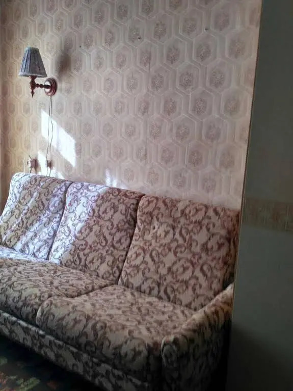 Lomonosov Area Apartments