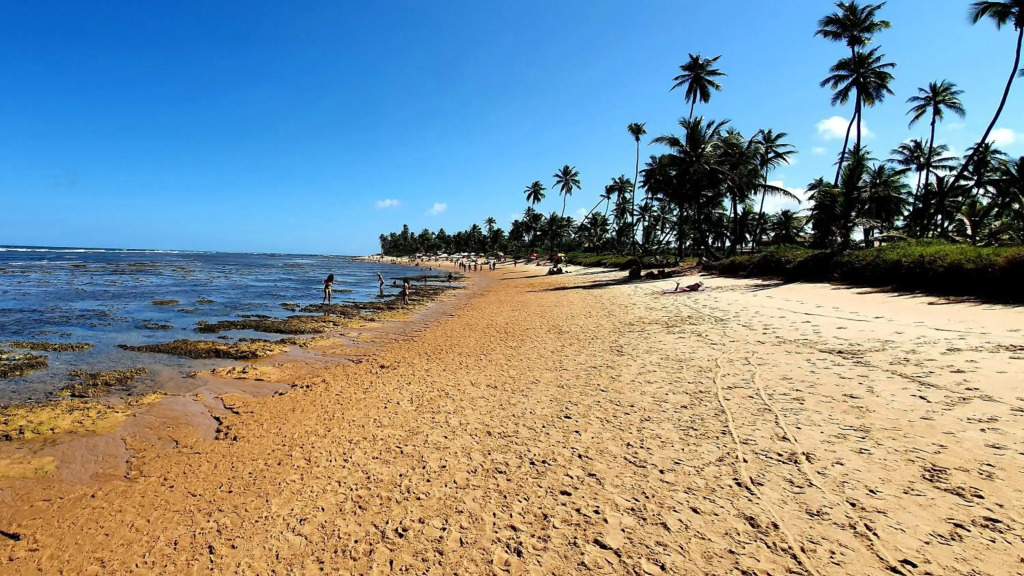 6 suítes com sofisticação e conforto na Praia do Forte!