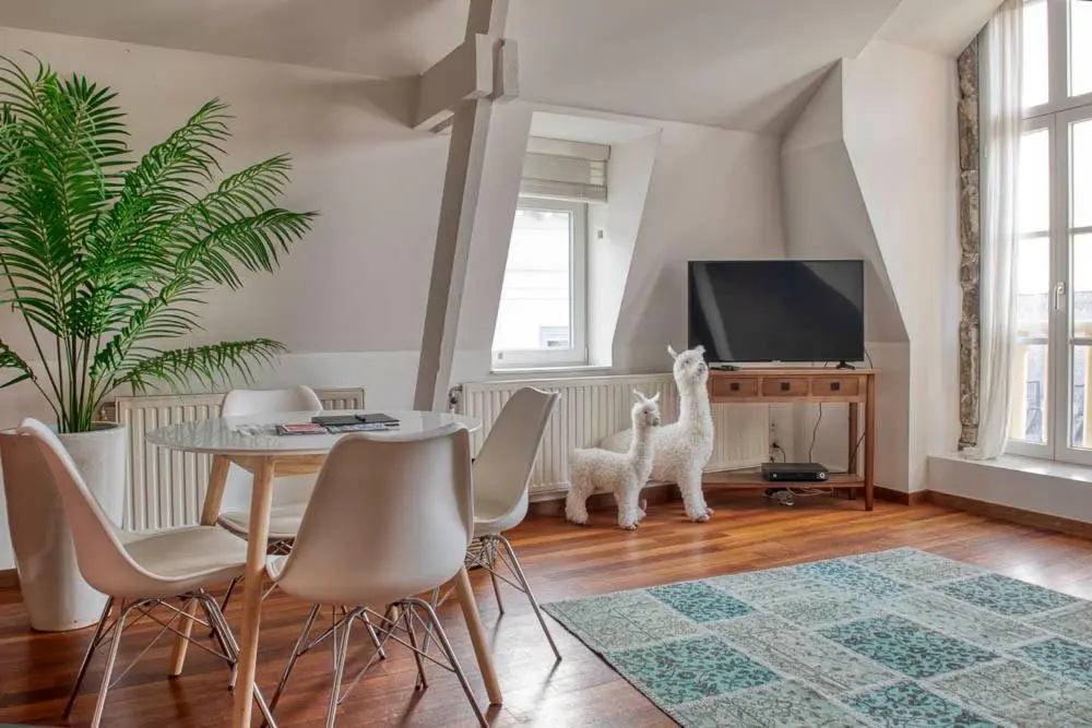 Beautiful city center apartments in Ghent near medieval castle