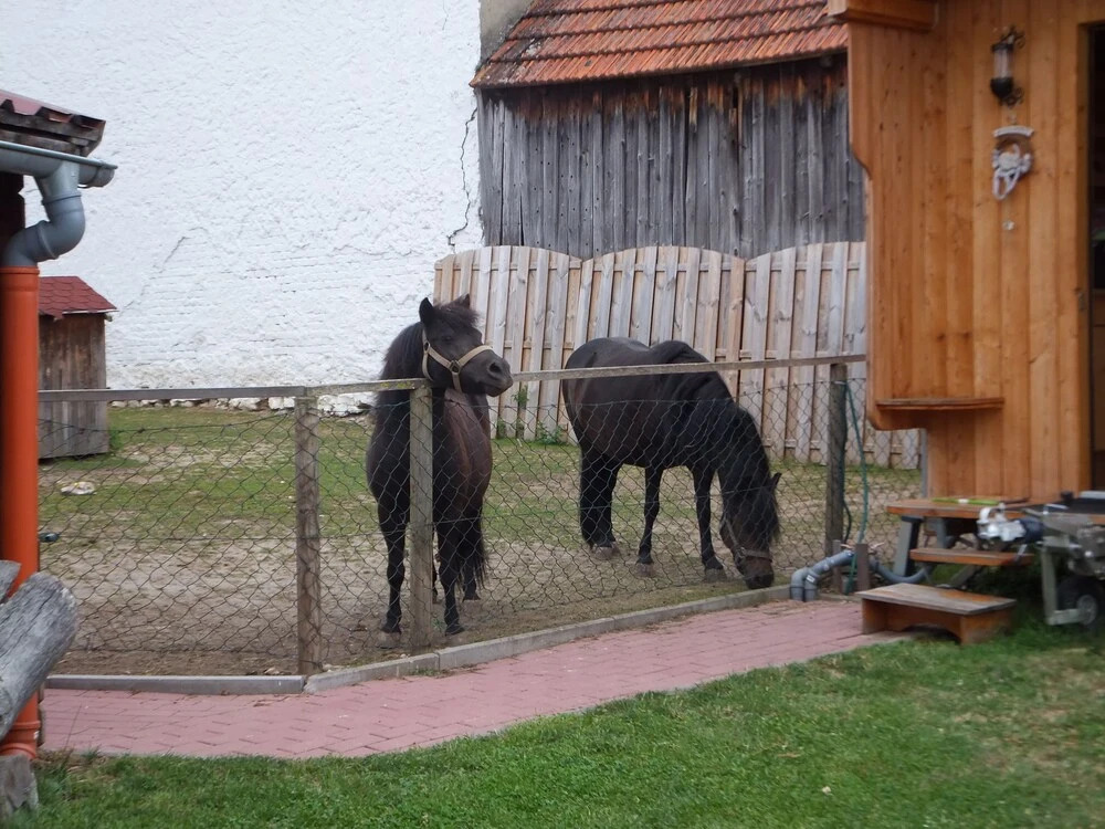 Ferienwohnungen Stark