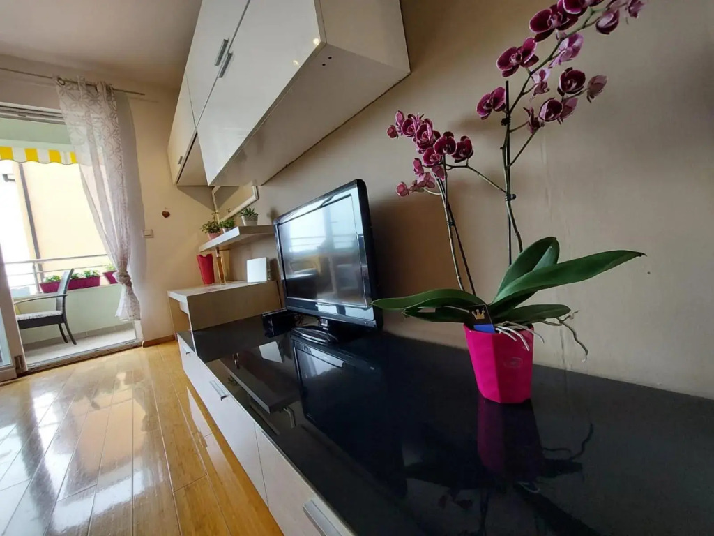 Apartment Vira