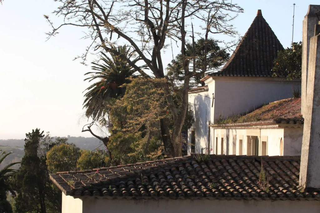 Quinta de São Thiago